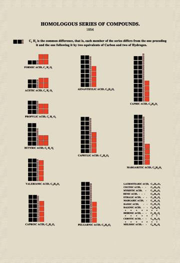 Homolgous Series of Compounds 20x30 poster