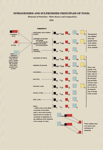 Nitrogenized and Sulphurized Principles of Food 20x30 poster