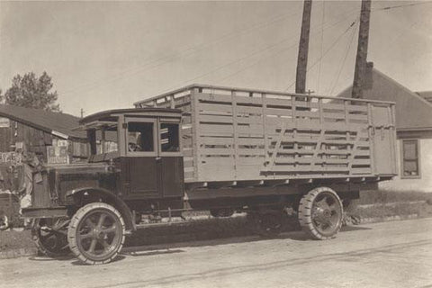 Livestock Truck 20x30 poster