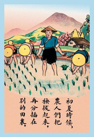 Separating the Rice Plants 20x30 poster