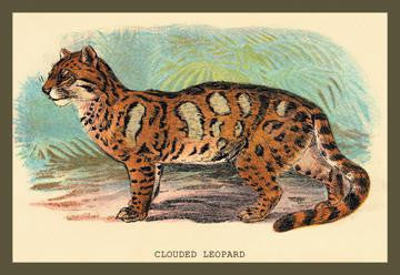 The Clouded Leopard 20x30 poster