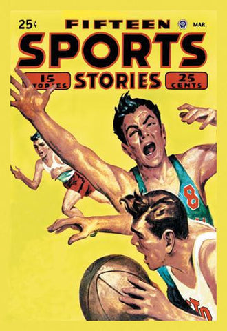 Fifteen Sports Stories 20x30 poster