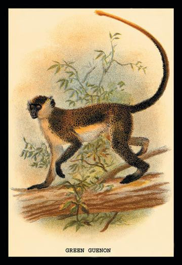 Green Guenon 20x30 poster