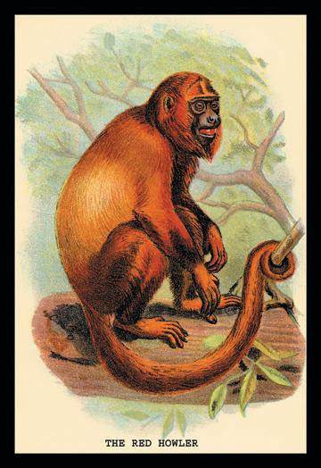 The Red Howler 20x30 poster