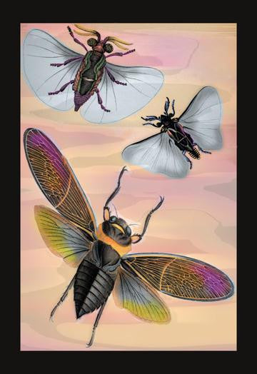 Three Insects in Flight 20x30 poster