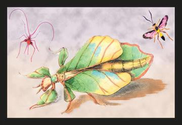 Three Insect Examples 20x30 poster