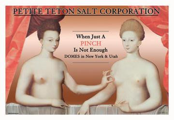 Petite Teton Salt Corporation 20x30 poster