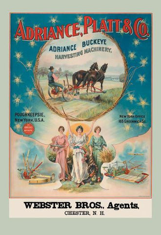 Adriance, Platt and Co., Poughkeepsie, NY 20x30 poster