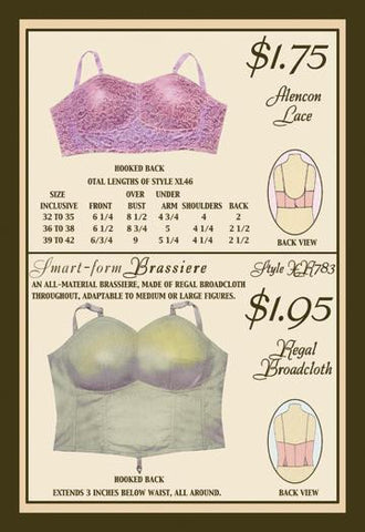 Alencon Lace and Regal Broadcloth Brassieres 20x30 poster