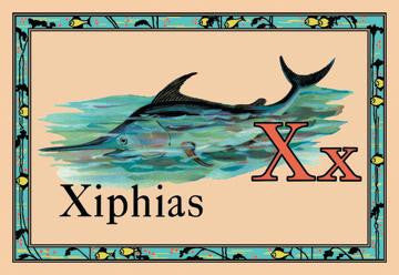 Xiphias 20x30 poster