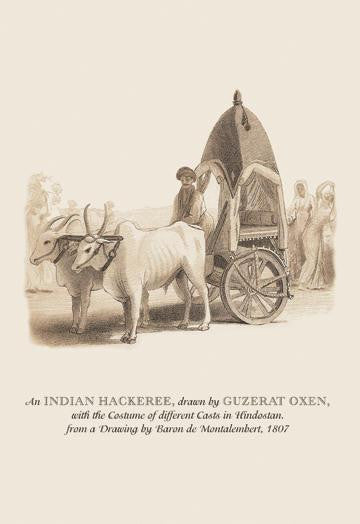 An Indian Hackeree 20x30 poster