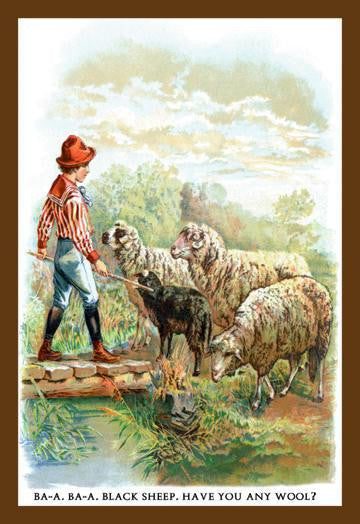 Ba-a Ba-a Black Sheep 20x30 poster