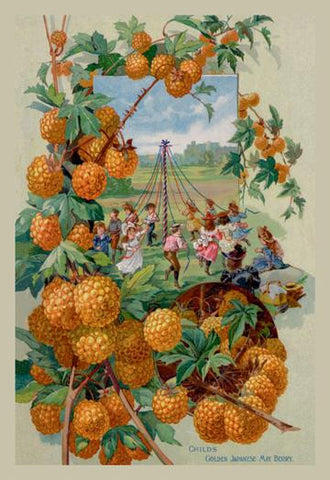 Childs Golden Japanese May Berry 20x30 poster