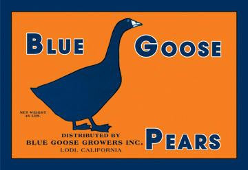 Blue Goose Pears 20x30 poster