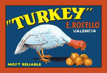 Turkey 20x30 poster