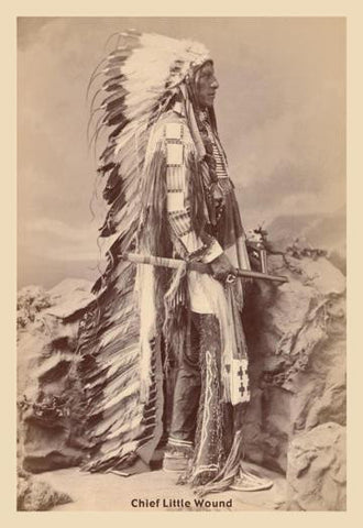 Chief Little Wound 20x30 poster