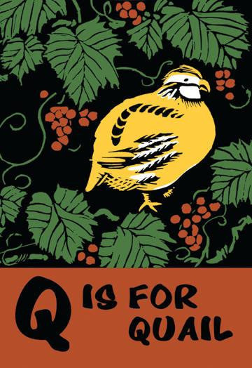 Q is for Quail 20x30 poster