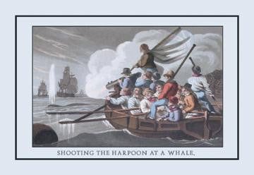 Shooting the Harpoon at a Whale 20x30 poster