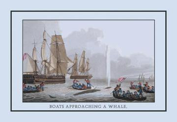 A Boat Approaching a Whale 20x30 poster