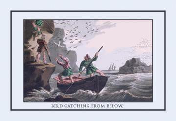 Bird Catching From Below 20x30 poster