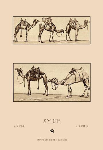 A Variety of Howdahs from Syria 20x30 poster