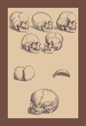 Skulls 20x30 poster