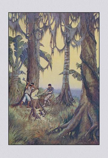 Robinson Crusoe: Nor Can I Telle 20x30 poster