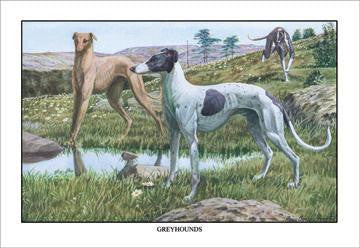 Greyhounds 20x30 poster