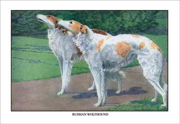 Russian Wolfhound 20x30 poster