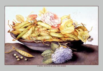 A Bowl with Pears and Two Roses 20x30 poster