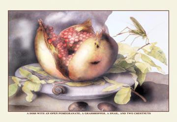 A Dish with a Pomegranate, a Grasshopper, a Snail, and Two Chestnuts 20x30 poster