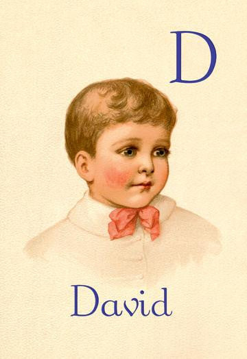 D for David 20x30 poster