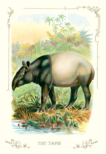 The Tapir 20x30 poster