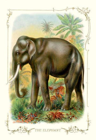 The Elephant 20x30 poster