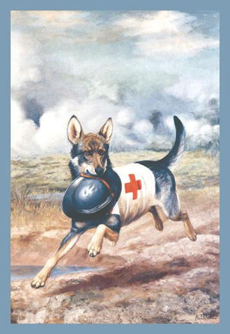 Red Cross Dog 20x30 poster