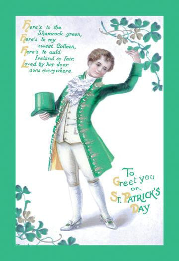 To Greet You On St. Patrick&#39;s Day 20x30 poster