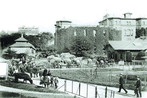 Central Park: The Menagerie c.1873 20x30 poster