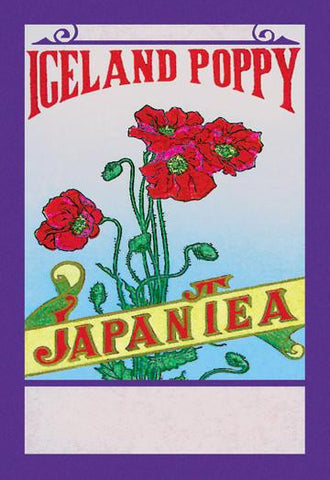 Iceland Poppy Tea 20x30 poster