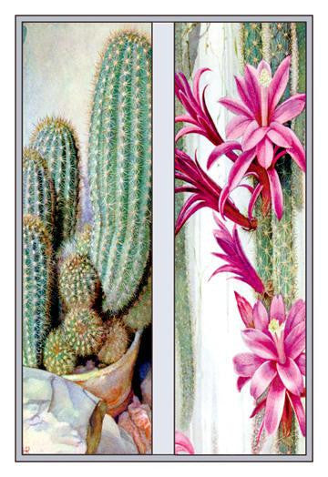 Cactus and Flower 20x30 poster