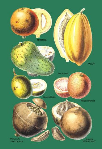 Fruits and Nuts #2 20x30 poster