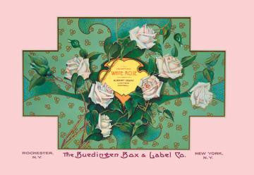 White Rose Soap 20x30 poster