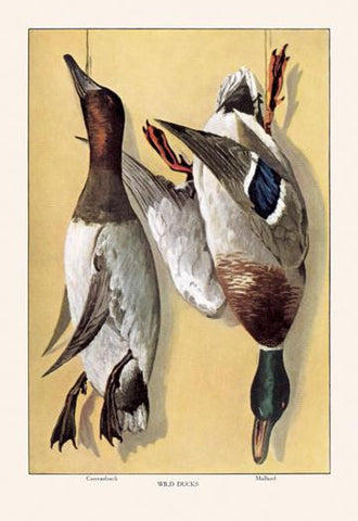 Wild Ducks 20x30 poster