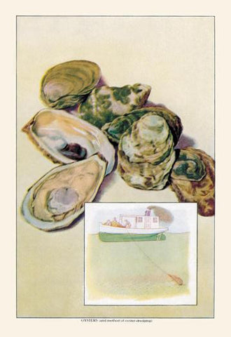 Oysters 20x30 poster