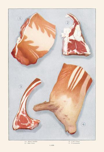 Cuts of Lamb 20x30 poster