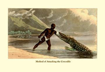 Method of Attacking the Crocodile 20x30 poster