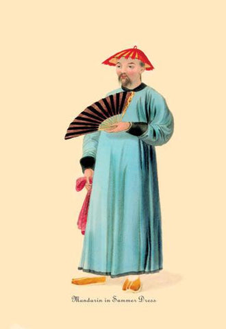 Mandarin in Summer Dress 20x30 poster