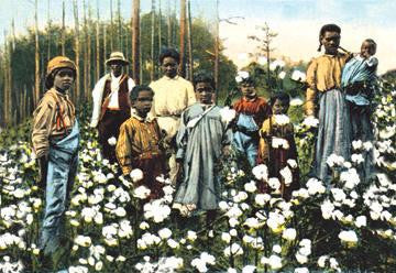 Portrait of Cotton Field Workers 20x30 poster