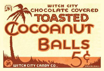 Toasted Cocoanut Balls #2 20x30 poster