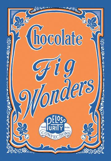 Chocolate Fig Wonders 20x30 poster