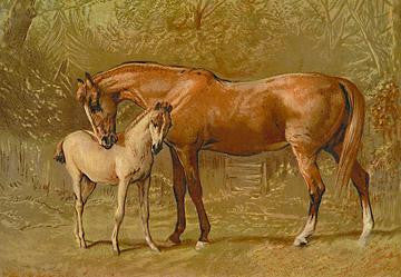 Thoroughbred Mare and Foal 20x30 poster